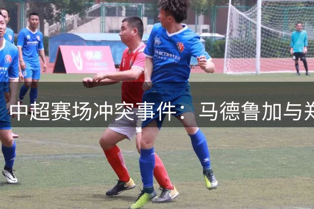 中超赛场冲突事件：马德鲁加与郑智言语交锋